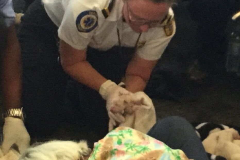 Cadela dá à luz em pleno aeroporto