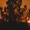 Oito distritos de Portugal Continental com risco muito elevado de incêndio