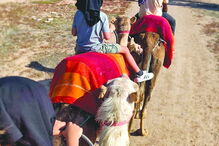 Vanessa Rebelo com os filhos