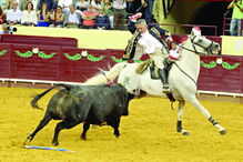 João Moura assinala 40 anos de alternativa na Corrida Correio da Manhã   