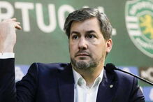 2018-06-06_11_14.14 bruno.jpg