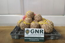 2018-06-07_16_24.39 UCC - Apreensão.jpg