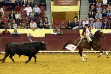 João Moura na lide ao touro na arena