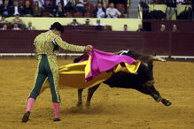  O novilheiro sobrinho de João Moura na arena com o touro