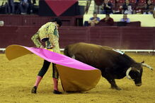  O novilheiro sobrinho de João Moura na arena com o touro