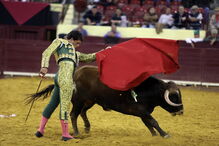 O novilheiro sobrinho de João Moura na arena com o touro