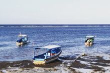 Oceana Basílio, Bali, Indonésia