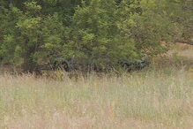 2018-06-12_13_00.47 Loulé.jpg