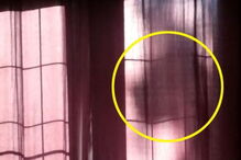 Dona diz que vê o fantasma do cão nas cortinas