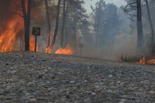 2018-06-17_11_45.34 Pedrógão Grande.jpg