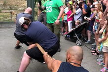 Leão vence desafio da corda contra três lutadores de wrestling