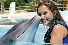 wag, selecao nacional