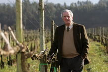 2018-06-20_18_45.32 fernando guedes 2.JPG