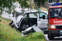 2018-06-21_11_17.48 M2-16337153.JPG