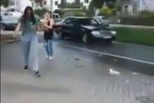 Bombeiro tenta resgatar gato de árvore com 'mangueira' e este cai no chão