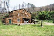 Natureza em estado puro junto ao Alvoco     