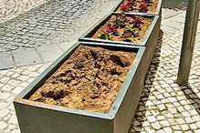 Floreiras também têm sido alvo de furtos