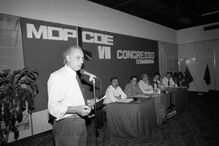 José Manuel Tengarrinha