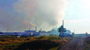 População “doente” espera fecho de fábrica em Ferreira do Alentejo