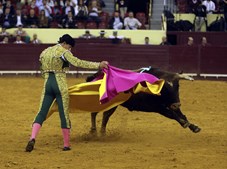  O novilheiro sobrinho de João Moura na arena com o touro