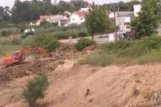 Discussão sobre cão leva homem a atropelar padrasto e enteado em Gaia