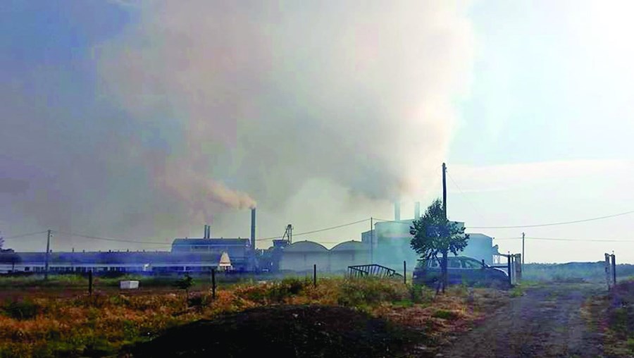 A fábrica de produção de bagaço de azeitona é um foco poluente em pleno Alentejo. Deputados querem medidas