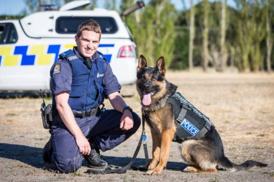 O tratador Regan Turner e o herói Kosmo