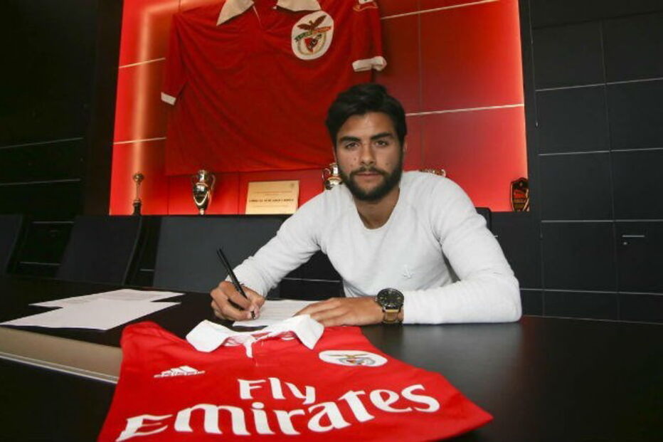 2018-06-04_23_45.47 amaral.jpg