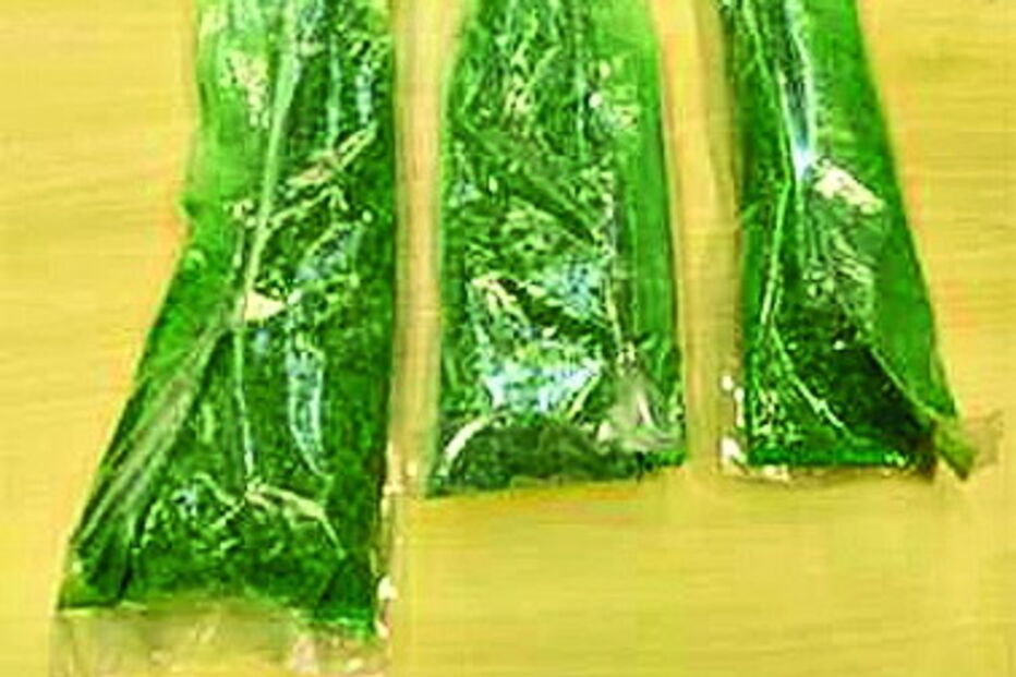 Droga estava escondida numa mala