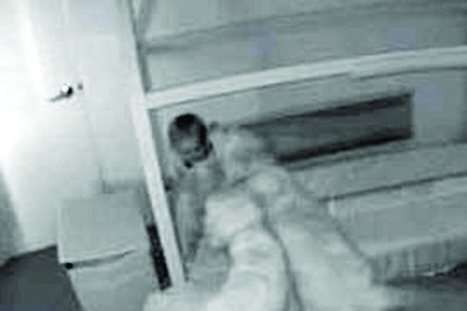 Cães e bebé aventuram-se durante a noite