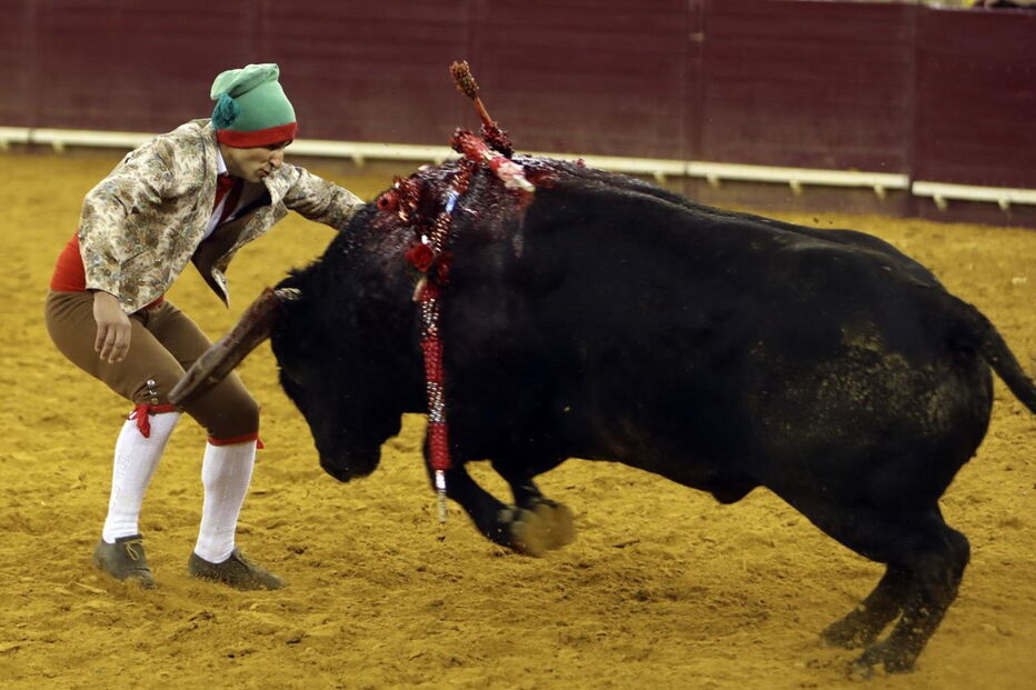 2018-06-08_17_34.19 16249085.JPG