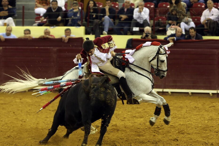  Toureiro/cavaleiro tauromáquico na lide ao touro na arena