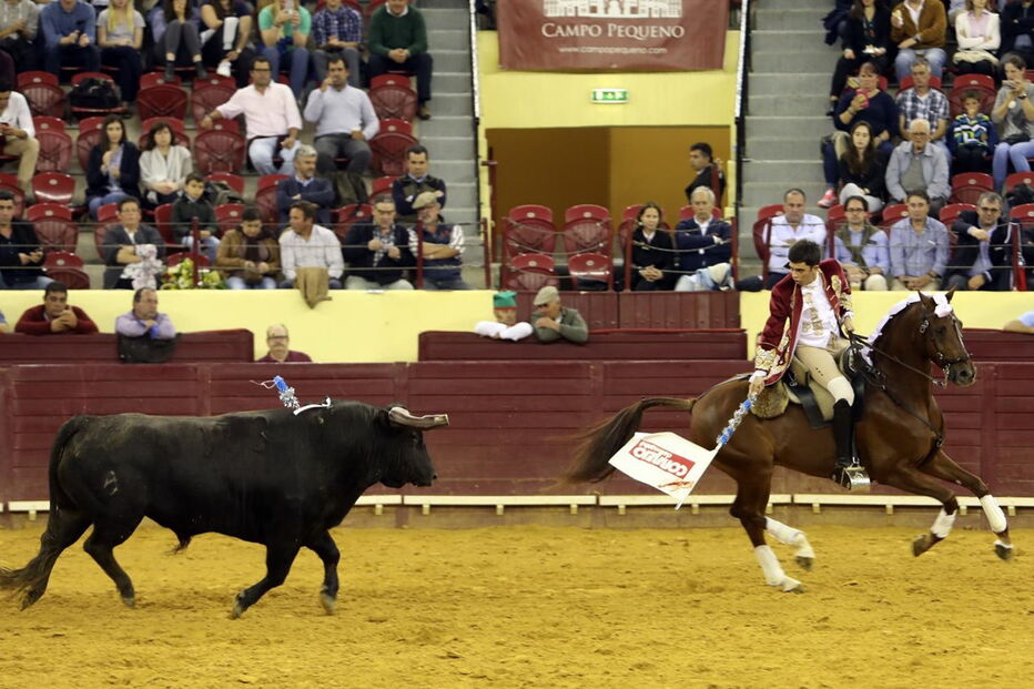 João Moura na lide ao touro na arena