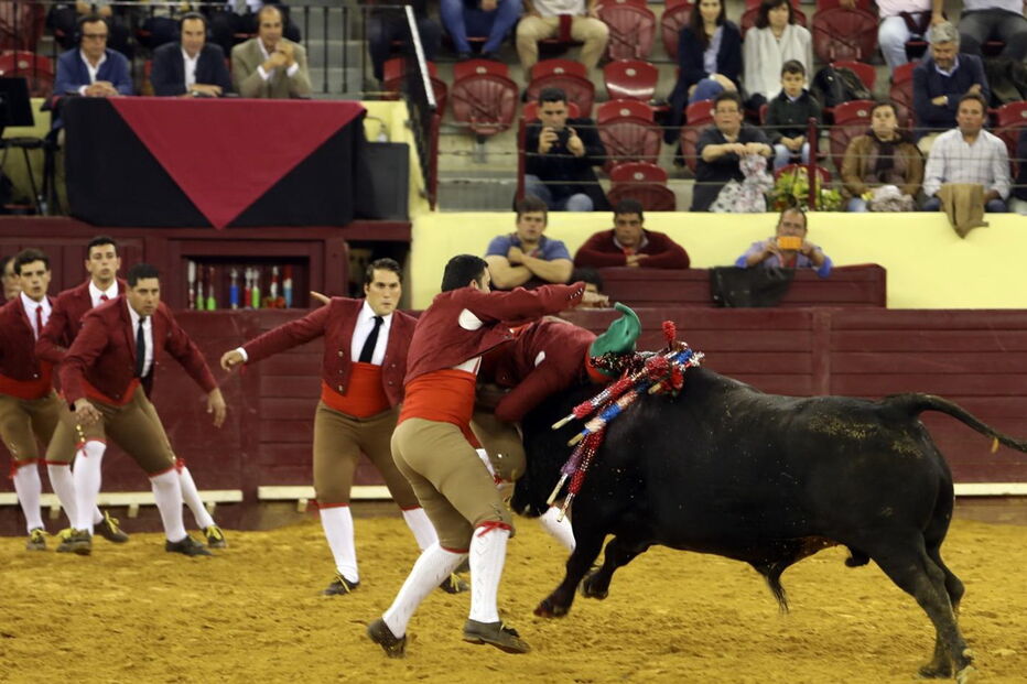Grupo de forcados a fazer uma pega