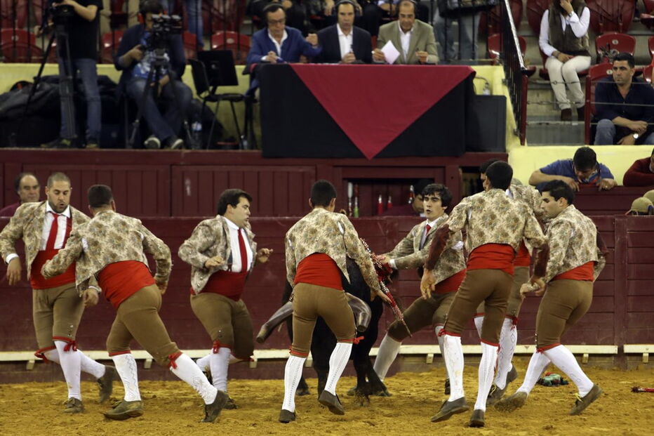 Grupo de forcados a fazer uma pega