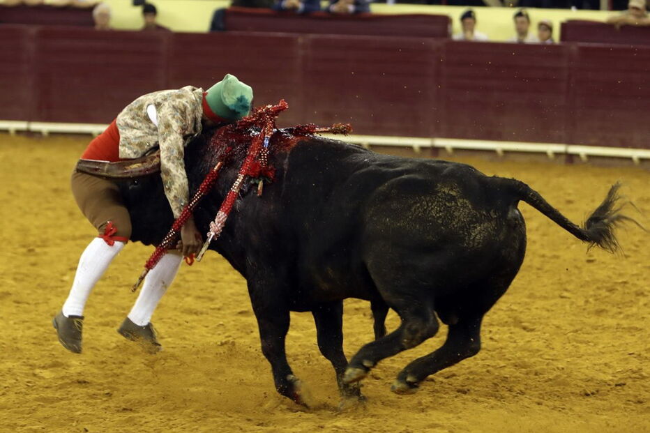 2018-06-08_17_34.30 16249119.JPG