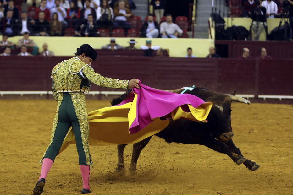  O novilheiro sobrinho de João Moura na arena com o touro