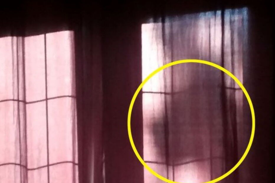 Dona diz que vê o fantasma do cão nas cortinas