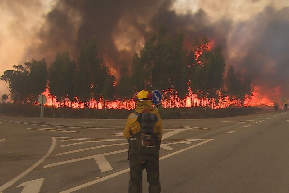 CDS, Assunção Cristas, incêndios