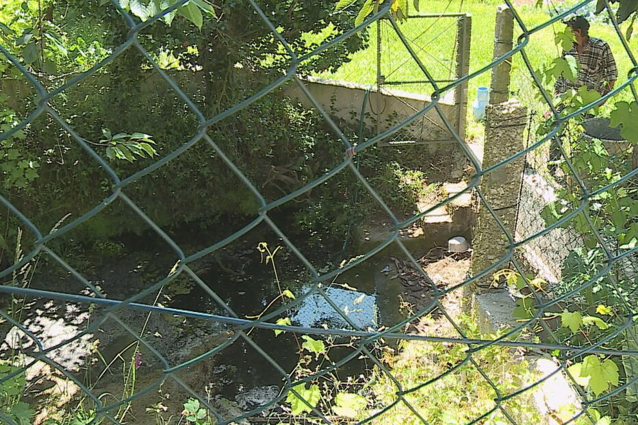 Mulher morre a apanhar nêsperas em Barcelos