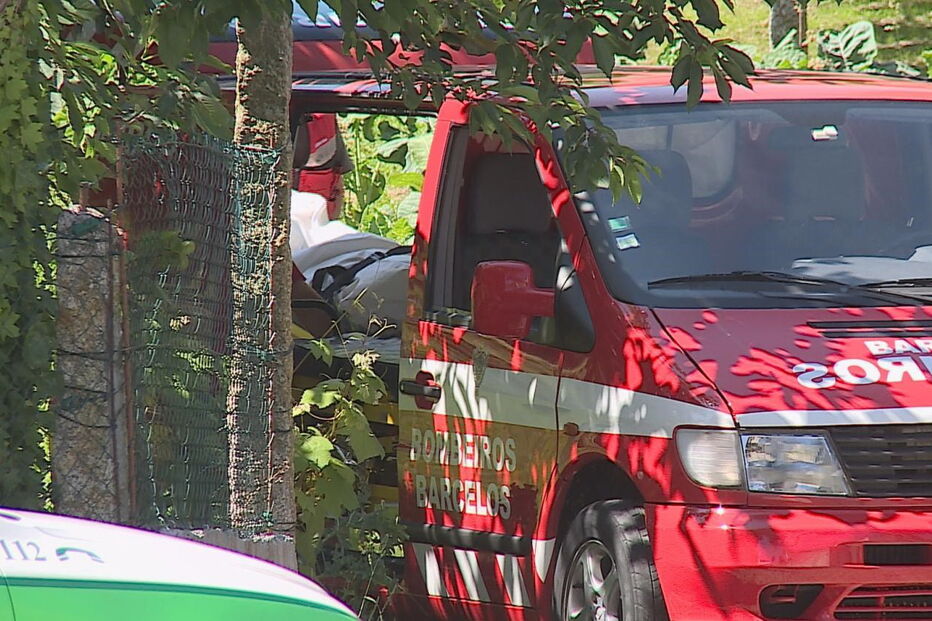 Mulher morre a apanhar nêsperas em Barcelos