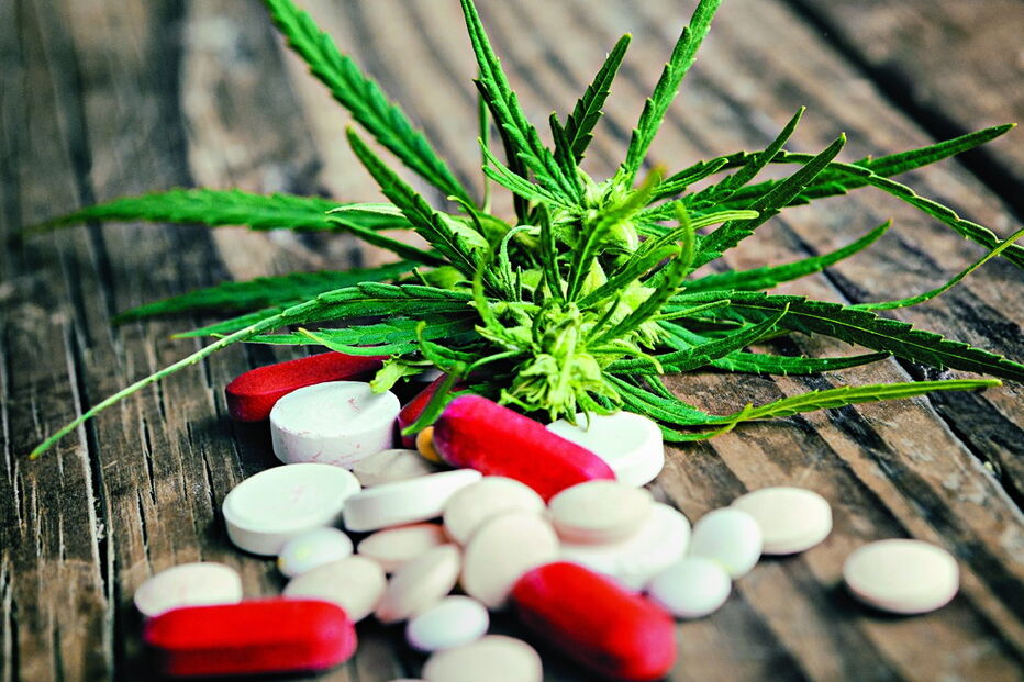 Medicamentos à base de canábis legalizados