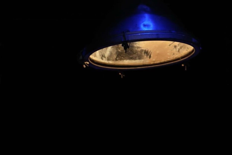 João Lagarto protagoniza o monólogo Lições de dança para pessoas de uma certa idade’