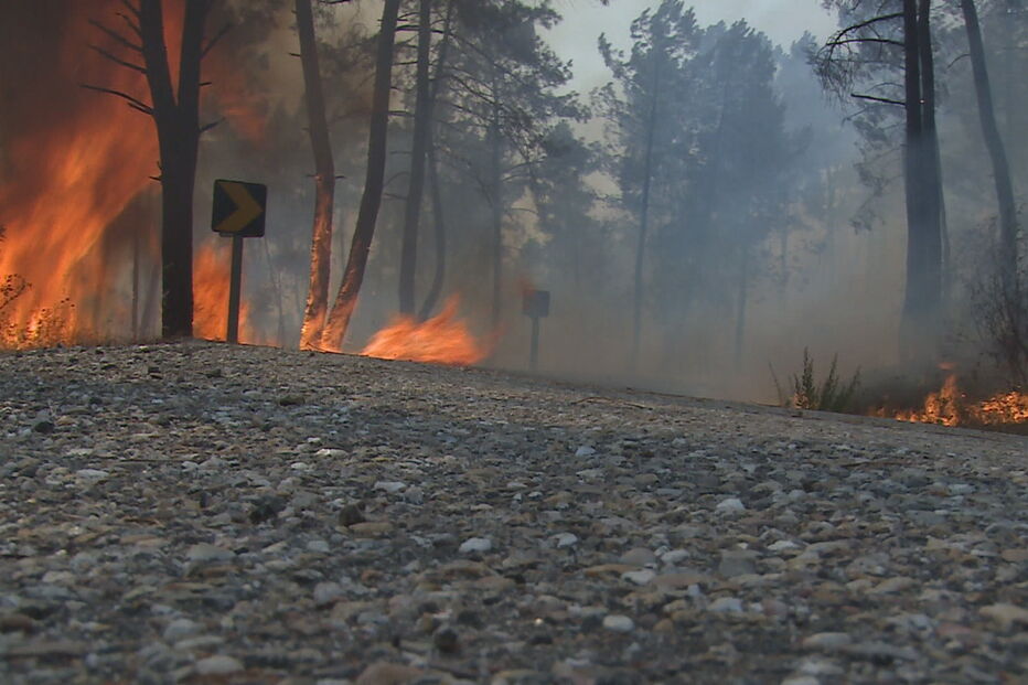 2018-06-17_11_45.34 Pedrógão Grande.jpg