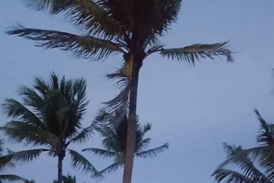 Andy e Meaghan Mitchell