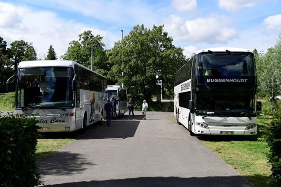 Leoa desaparece de Jardim Zoológico e crianças são evacuadas
