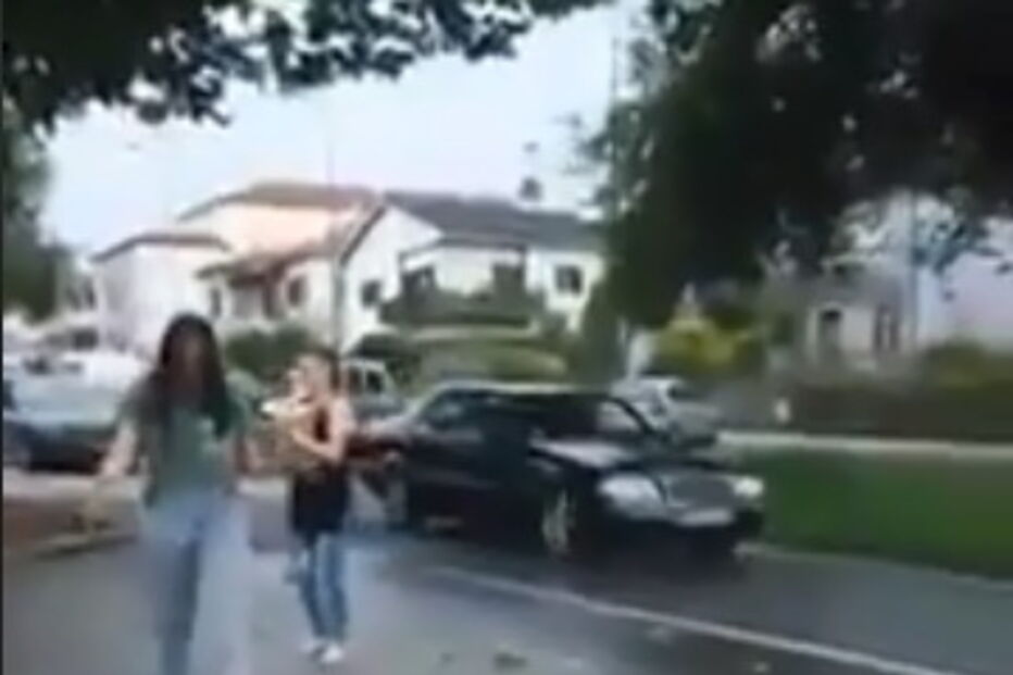 Bombeiro tenta resgatar gato de árvore com 'mangueira' e este cai no chão