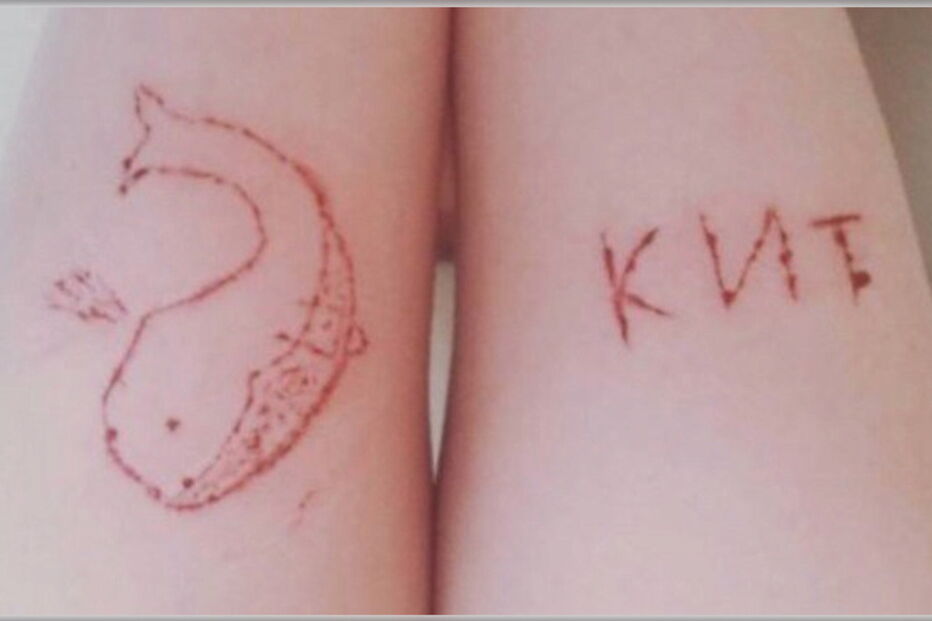 Baleia Azul, jogo, internet, Belas