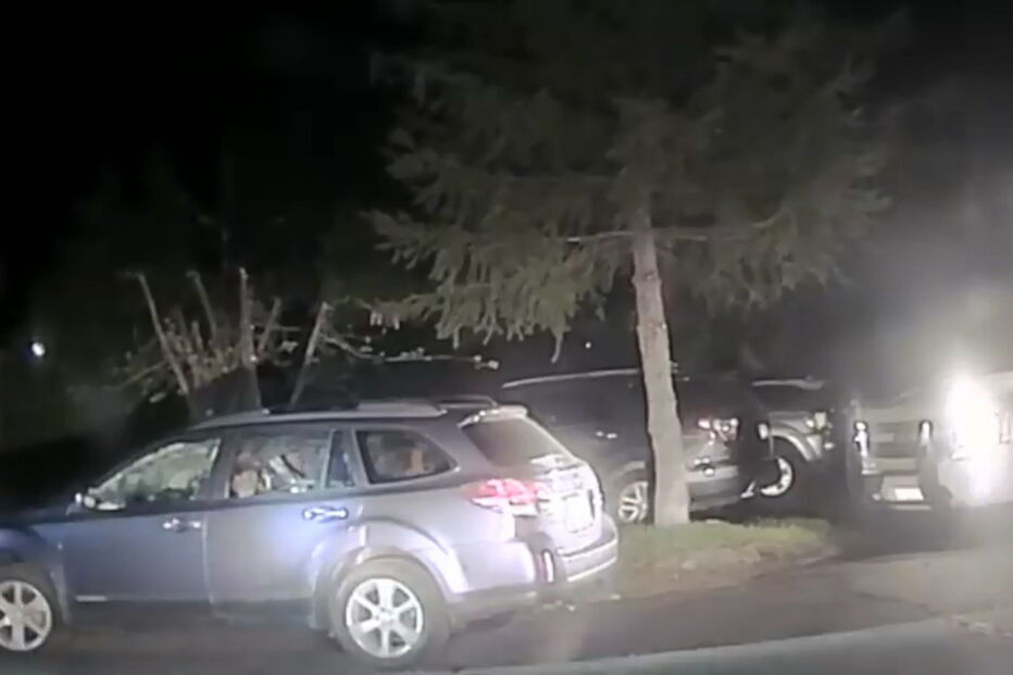 Urso fica preso dentro de carro