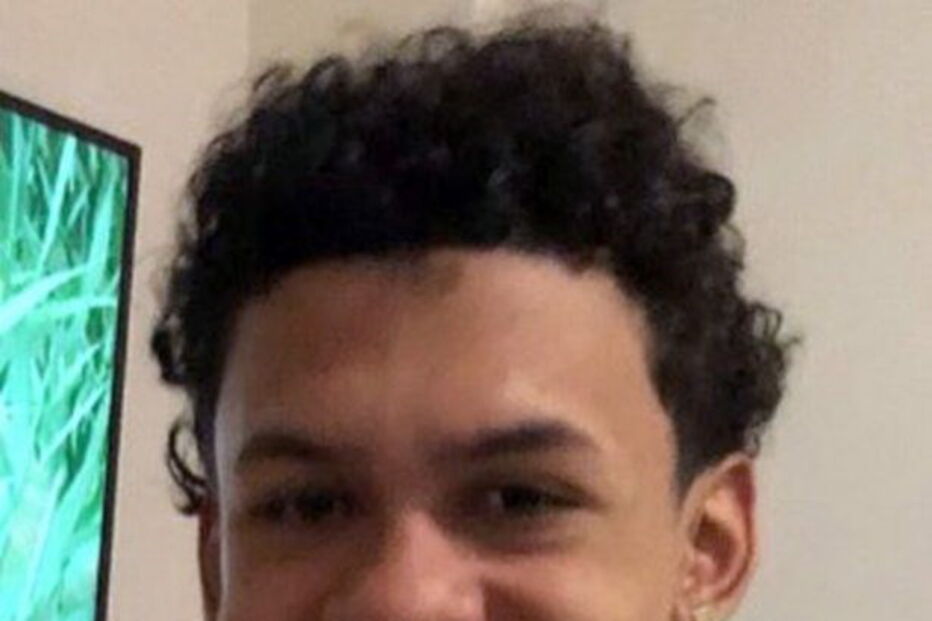 Rapaz de 15 anos esfaqueado até à morte por gangue